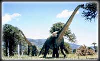 Why did dinosaurs like brachiosaurus suddenly become so large?