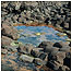 Giant's Causeway (Image: Northern Ireland Tourist Board)