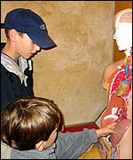 Picture: children looking at the body exhibit