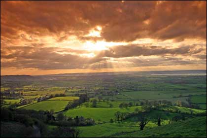 June picture gallery