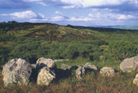 Mynydd y Garreg