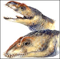 Umoonasaurus demoscyllus