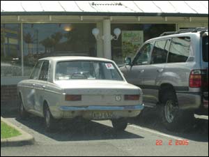 هورزاد وزيری