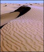 Sahara Desert dune
