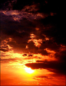 آسمان سیدنی