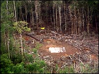 Foto de acampamento das Farc após bombardeio