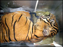 Hổ đông lạnh phát hiện hồi tháng 9/2007