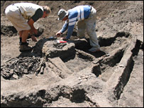 escavações em Tambora (URI News Bureau)