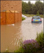 View from Leia's front door the day of the floods