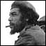 Che Guevara