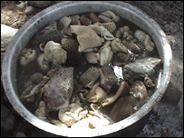 خوراکه ماهی 