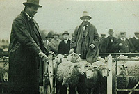 Yr arwerthwr R G Jones a John Cwm Wrach Nant Peris (Llun: Teulu Ymwlch Ganol)