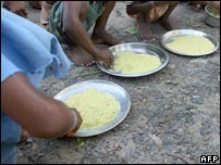 Lavouras de arroz absorvem o arsênico do solo