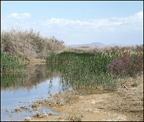 تالاب گاوخونی در شرق اصفهان و در حوزه روستايی بزرگ به نام وَرزَنه قرار دارد