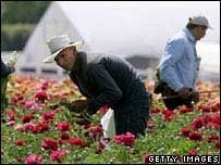 Imigrantes de origem latina nos EUA