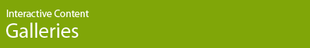 Interactive Content - Galleries