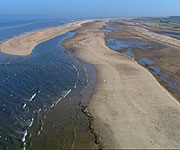 Aerial picture of the coastline