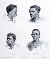 Africanos de várias origens. Imagem Cortesia da New York Public Library