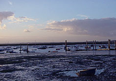 Blackwater Estuary
