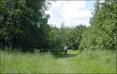 Ifton Meadows nature reserve
