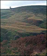 Haworth Moor