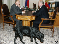 پوتن کی کتیا کے لیے سیٹلائٹ پٹہ 