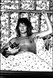 Rod Stewart by David Steen ©