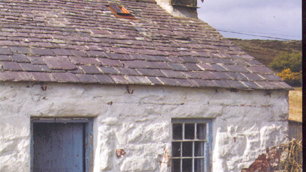 Llun ioddi ar glawr y llyfr