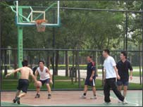 体育园内的篮球迷们