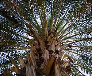 عکس از آرش الياسی