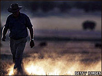 Fazendeiro australiano