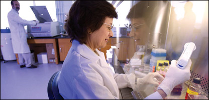  توکسو پلاز موسس 