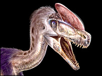 Representação artística do novo tiranossauro