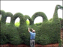 尼斯湖怪树木剪形