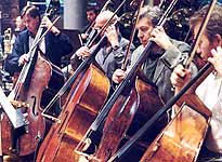 Double Basses