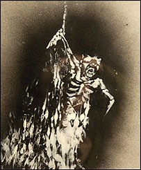 نقاشی دلارا دارابی، دختر محکوم به اعدام در ایران