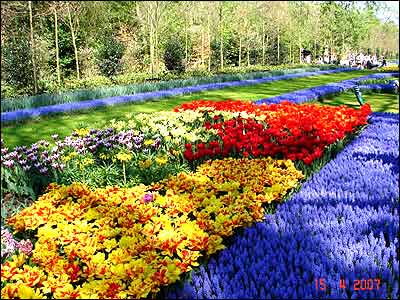 بهار در هلند