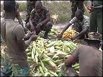 गैंबिया के सैनिक खेती की ओर 
