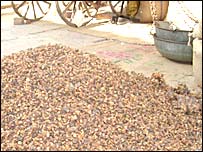 बाज़ार में महुआ