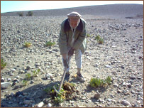 خطر ماين و جمع آوری هيمه