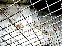 जामिया नगर