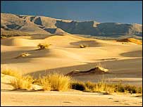 صحرای کالاهاری