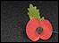Remembrance poppy