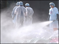 سونامی سے ہلاک ہونے والوں کی لاشوں پر چھڑکاؤ