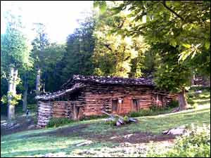 عکس از سید وحید حسینی