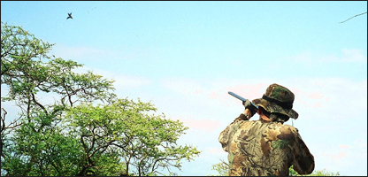 يو تن د ښکار کولو پرمهال