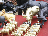 Trâu đợi khách tới mua dịp trước Tết 