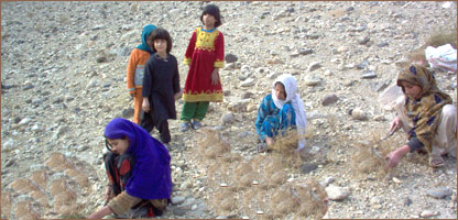 ماين و جمع آوری هيزم