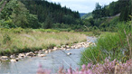 River Ystwth on the Hafod Estate