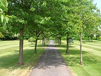 Tree path, The Reterat, York
